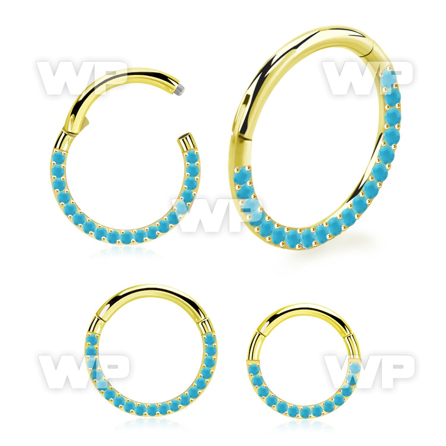 3i3xeervr pvd steel hinged segment clicker 16g cnc turquoise