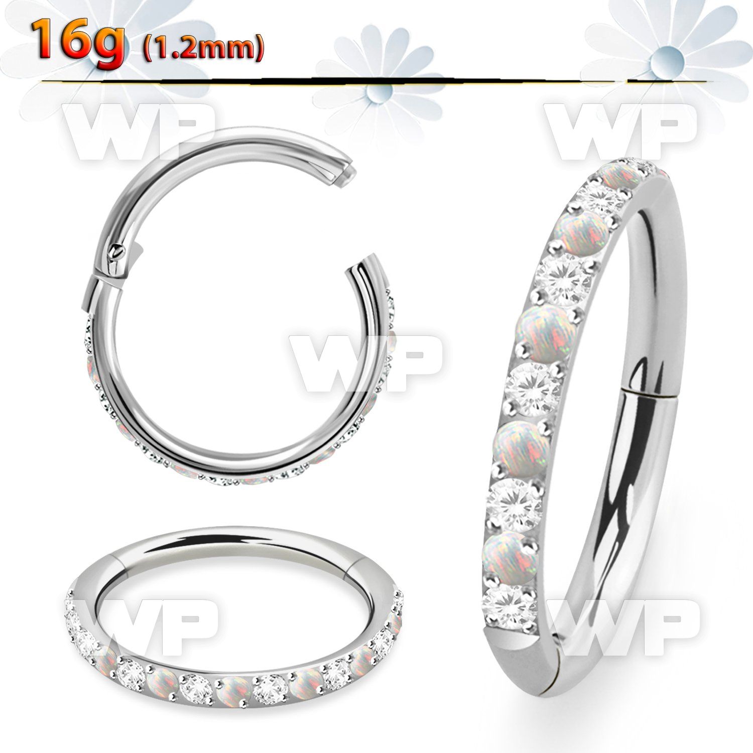 3i3xepg5 steel hinged segment clicker 16g outward facing cz