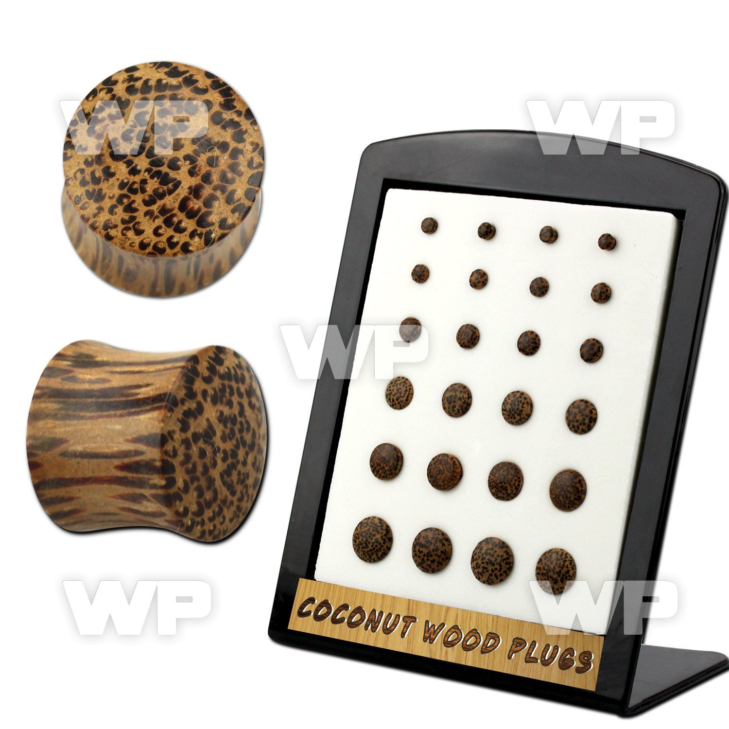 4amo4 display w of coconut wood double flared plugs size3mm 12m ear lobe piercing