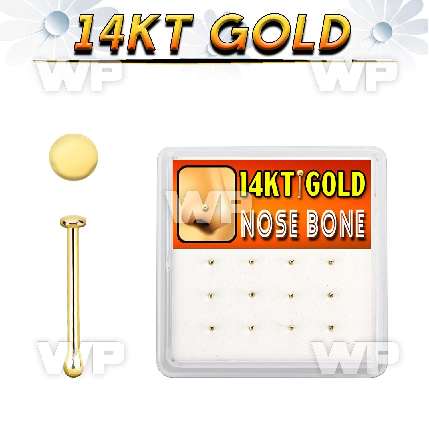 dgnb24 box w 12 14kt gold nose bones, 22g w round flat top
