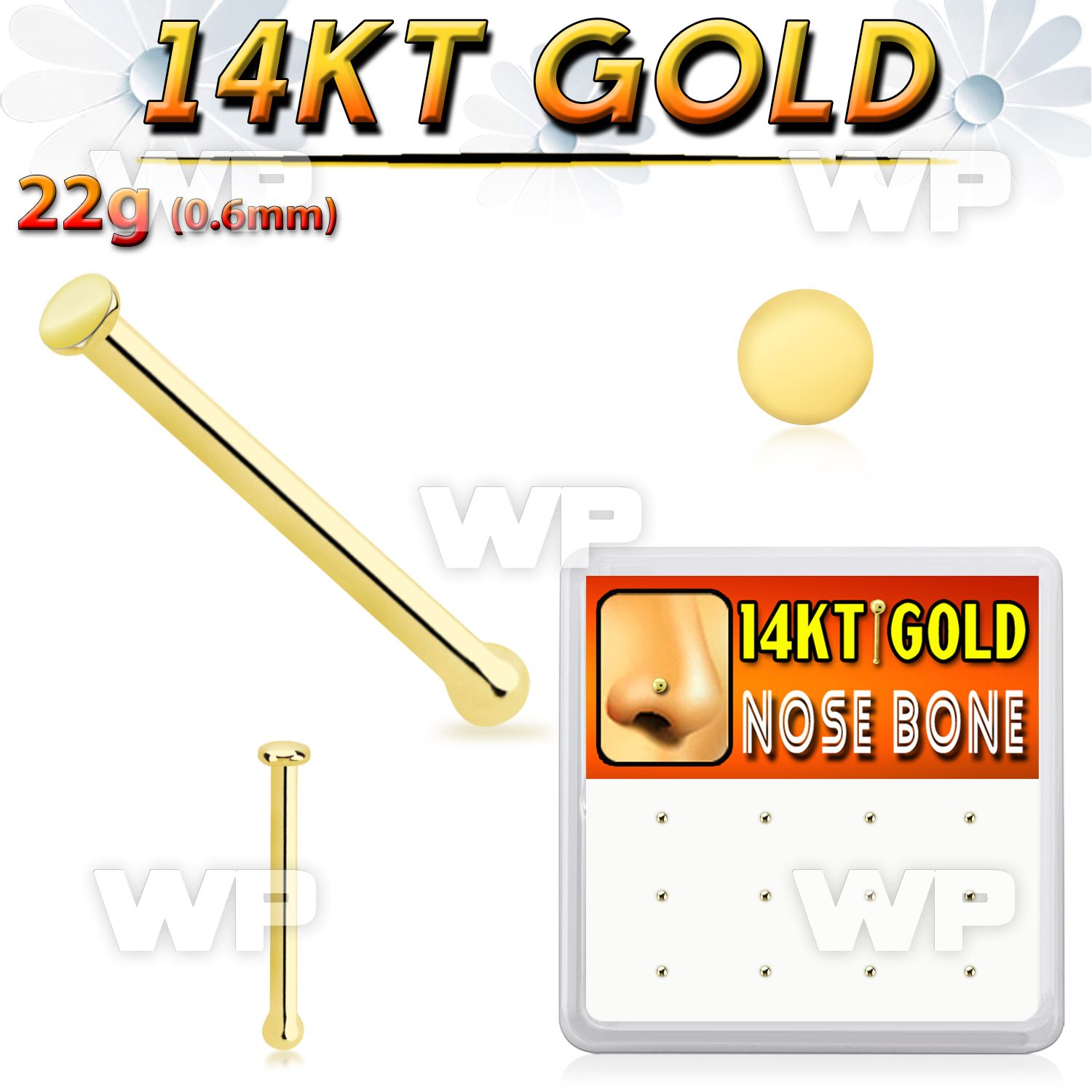 dgnb24 box w 12 14kt gold nose bones, 22g w round flat top