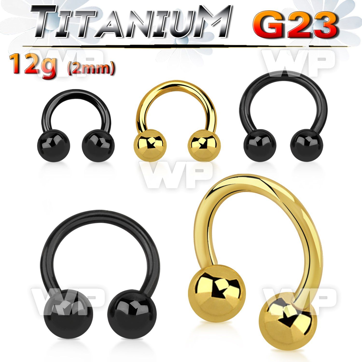 h64arek black ion plated g23 titanium cbr horseshoe 2mm 6mm exte ear lobe piercing