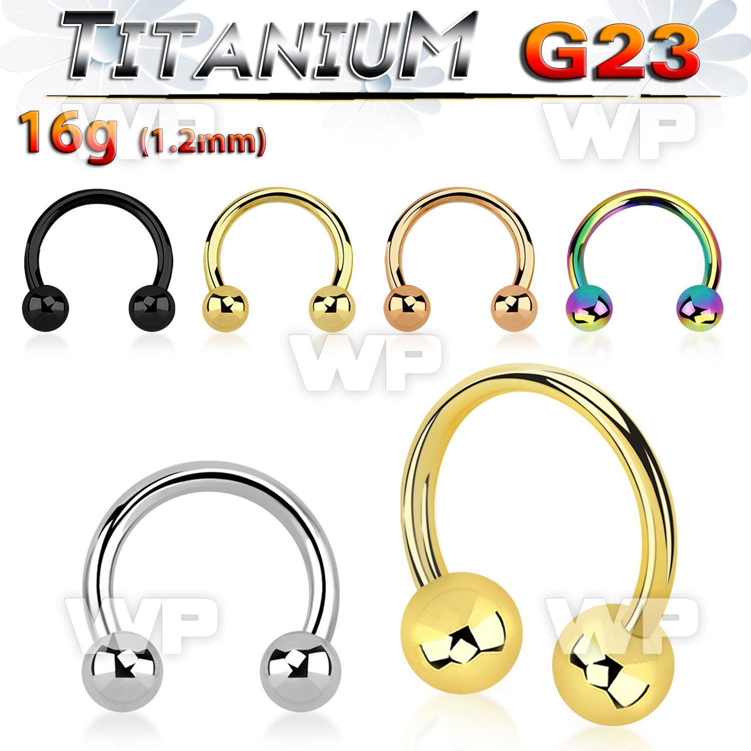 h64w40 titanium horseshoe circular bar 16g two 4mm balls
