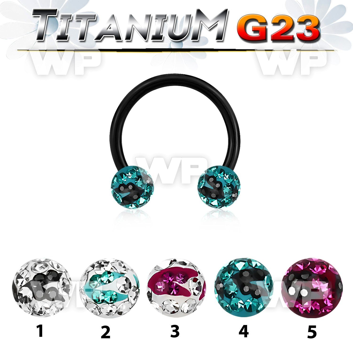 hr64day6 ion plated g23 titanium cbr horseshoe 1 6mm 6mm ferido ear lobe piercing