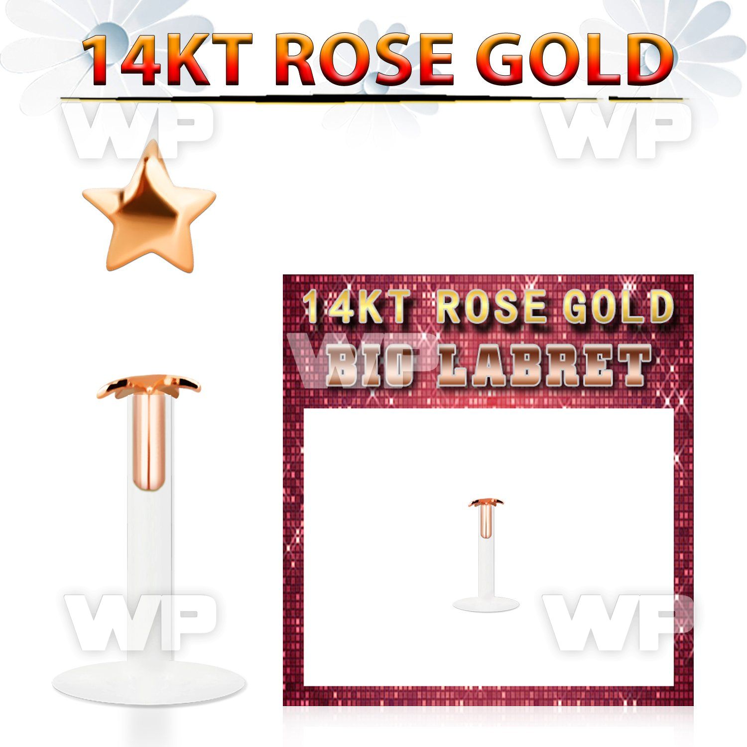 rbist bio flex labret w 14kt rose gold top w a 2.5mm star top