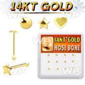 1iu4ep box w of 14kt gold nose bone plain gold tops in mixed nose piercing