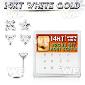 1o36l display box w of 14kt white gold nose screwclear prong nose piercing