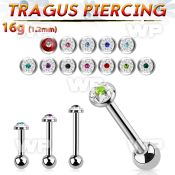 44wazt4 surgical steel tragus barbell 16g 1 2mm 3mm flat top fer helix piercing
