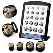 4amiels display w black acrylic plug external screw fit cute bull ear lobe piercing