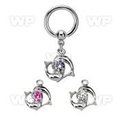 bcrgz15 316l steel bcr 1.6mm w dolphins swimming around a cz