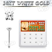 box w 12  white gold nose bones w 2mm prong set color czs