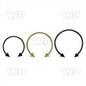 cbmtcn4l xxl anodized steel circular barbell, 14g w 4mm cones