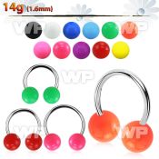 cbsab8l xxl steel circular barbell, 14g w 8mm solid color balls