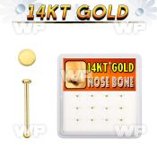 dgnb24 box w 12 14kt gold nose bones, 22g w round flat top