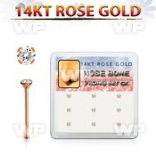 drnb6 box w 14kt rose gold nose bones w 2mm round cz stones