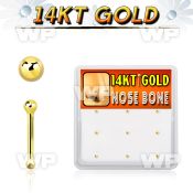 gnb3x box w 14kt gold nose bones, 20g w 1.5mm ball shaped top