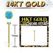 gyge7 14kt gold bend it  nose stud w 2mm prong set turquoise