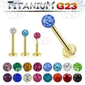 hib4daz gold ion titanium labret stud 16g ferido