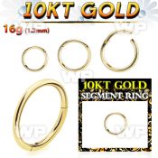 i83wixey 10kt gold hinged segment clicker 16g