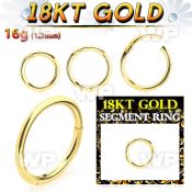 ii3wixey 18kt gold hinged segment clicker 16g