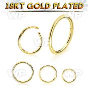 im3wixet 18kt gold finish silver hinged segment clicker 18g