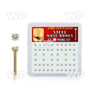 nbtz2xc box w gold plated gold steel nose bones w 2mm clear czs
