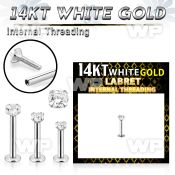 ob4g8 14kt white gold labret stud cz internal