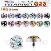 r7das1 surface piercing 5mm g23 titanium dermal top ferido glue surface piercing