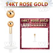 rbib25 bio flex labret w 2.5mm 14kt rose gold ball