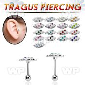 trg40 steel tragus piercing barbell w leave 3 crystals