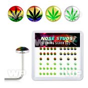 u3bife box w silver 925 l shaped nose studs assorted marijuana nose piercing