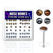 u4bify box w silver 925 nose bone assorted tiger or leopard log nose piercing