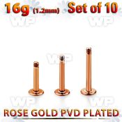 xttlb16g set of rose gold plated steel labret posts thread 1.2mm