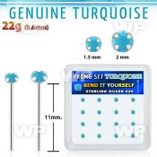 y16pge7 box w bend it silver nose studs w 2mm round turquoise