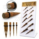 17mitp display w coconut wood tapers double o ring s size 3mm ear lobe piercing