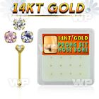 1iu40 box w of 14kt gold nose bone 1 5mm round prong set cz nose piercing