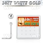 1o36e display box w of 14kt white gold nose screw1 5mm plain nose piercing
