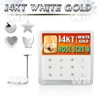 1o36et box w of 14kt white gold nose screw mixed shaped tops st nose piercing