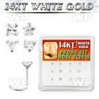 1o36l display box w of 14kt white gold nose screwclear prong nose piercing