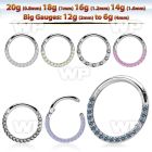 3i3xee steel segment ring cz stones at side