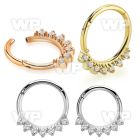 3ir3xk9 pvd finish steel hinged segment clicker facing cz