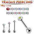 44wazt4 surgical steel tragus barbell 16g 1 2mm 3mm flat top fer helix piercing
