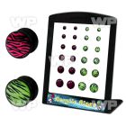 4amisk display w of black acrylic double flare saddle plugs ear lobe piercing