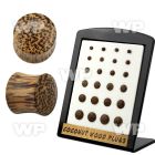 4amo4 display w of coconut wood double flared plugs size3mm 12m ear lobe piercing