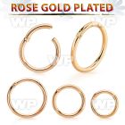 a33wixey rose gold finish silver hinged segment clicker 16g