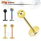 anodized surgical steel labret 20g w a 3mm ball