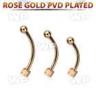 bnettds rose gold steel eyebrow banana w one 2.5mm dice 1 ball