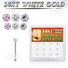 box w 12  white gold nose bones w 1.5 & 2mm mix color czs