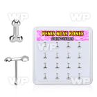 box w 16 pcs. silver nose bones, 22g w penis shape top