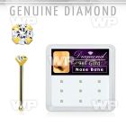 d9gnb15 box w 14kt gold nose bone w 1.5mm genuine diamond